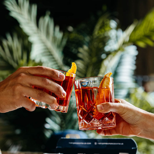 Negroni Proper Pour Bundle