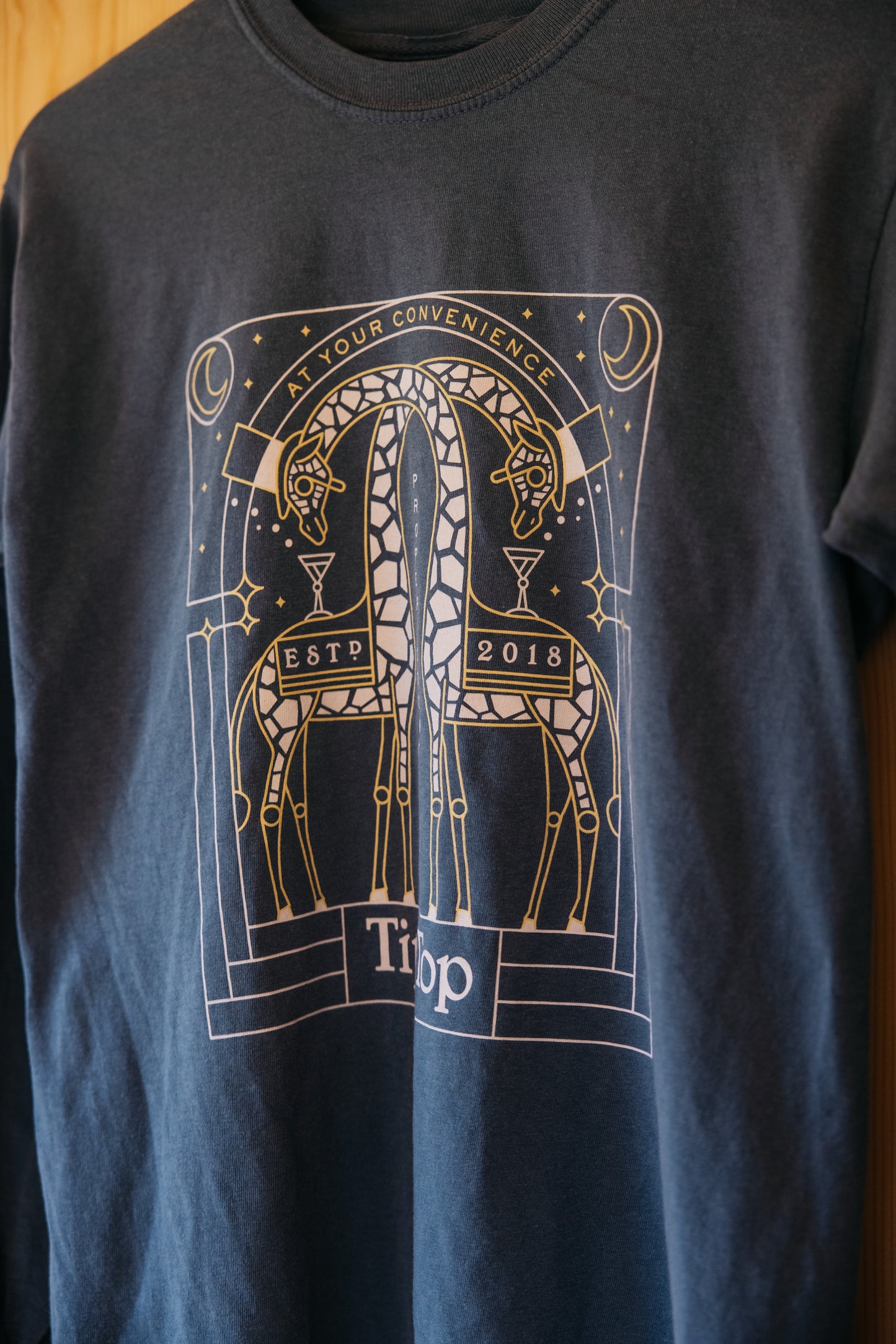 Giraffes Long Sleeve T-Shirt