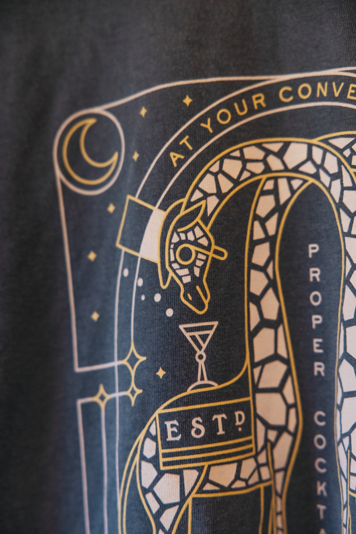 Giraffes Long Sleeve T-Shirt